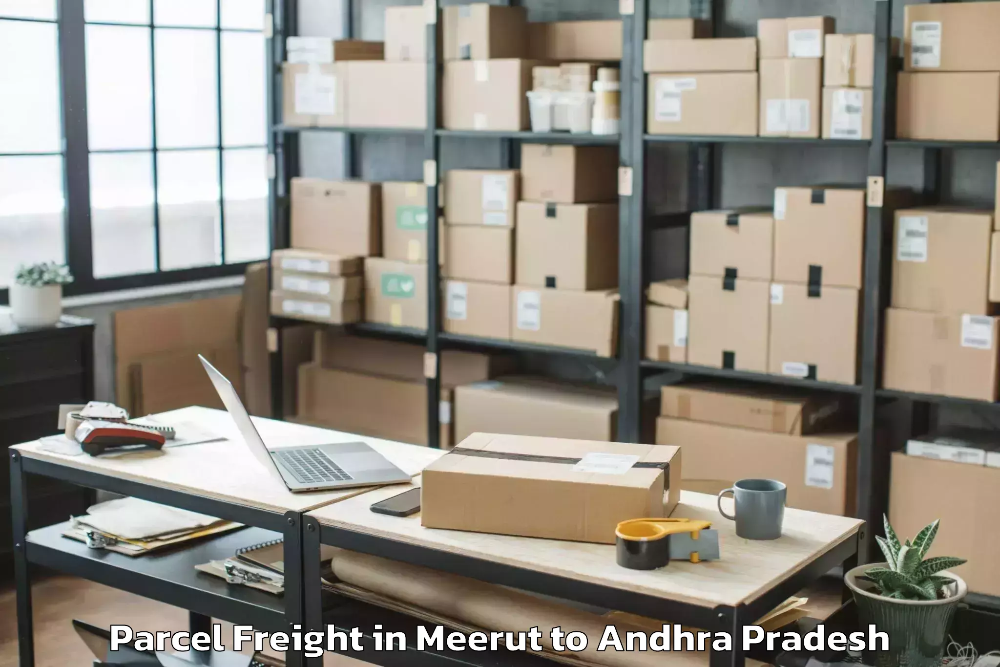 Top Meerut to Vinjamur Parcel Freight Available